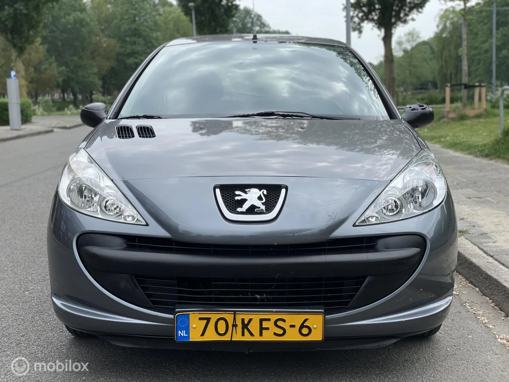 Hoofdafbeelding Peugeot 206