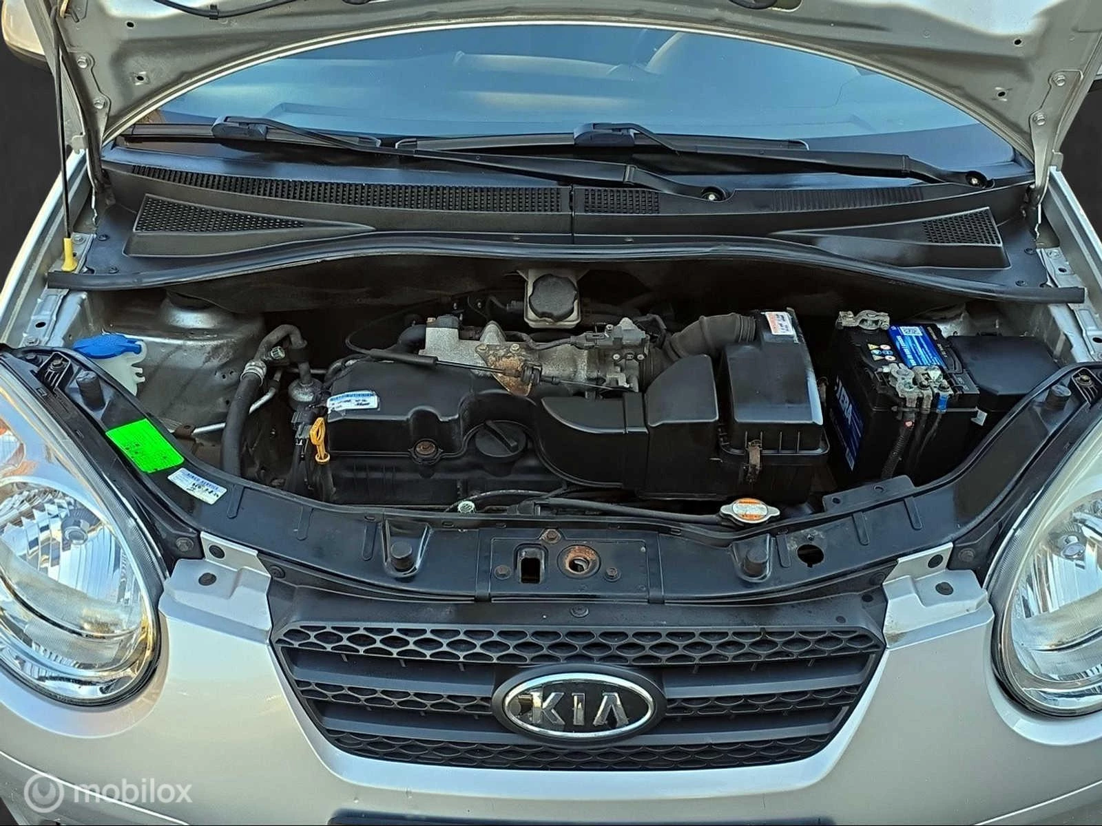 Hoofdafbeelding Kia Picanto