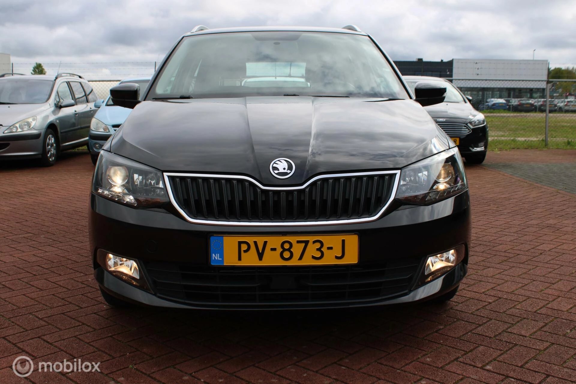 Hoofdafbeelding Škoda Fabia