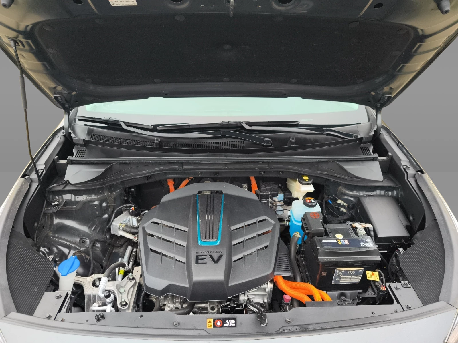 Hoofdafbeelding Kia e-Niro