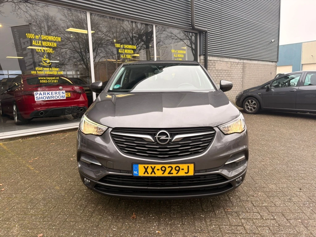 Hoofdafbeelding Opel Grandland X