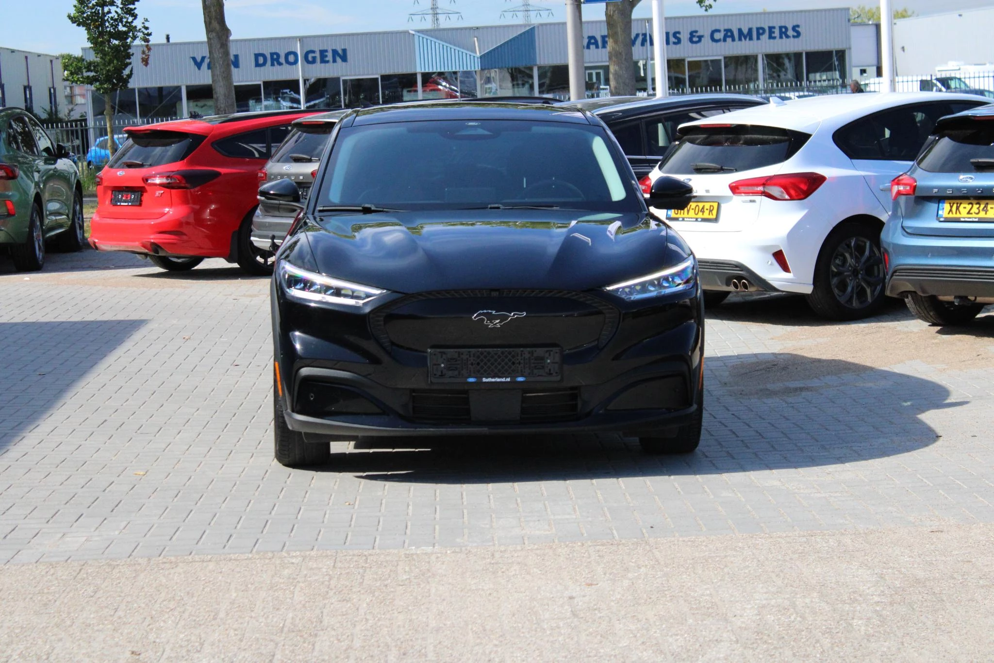 Hoofdafbeelding Ford Mustang Mach-E