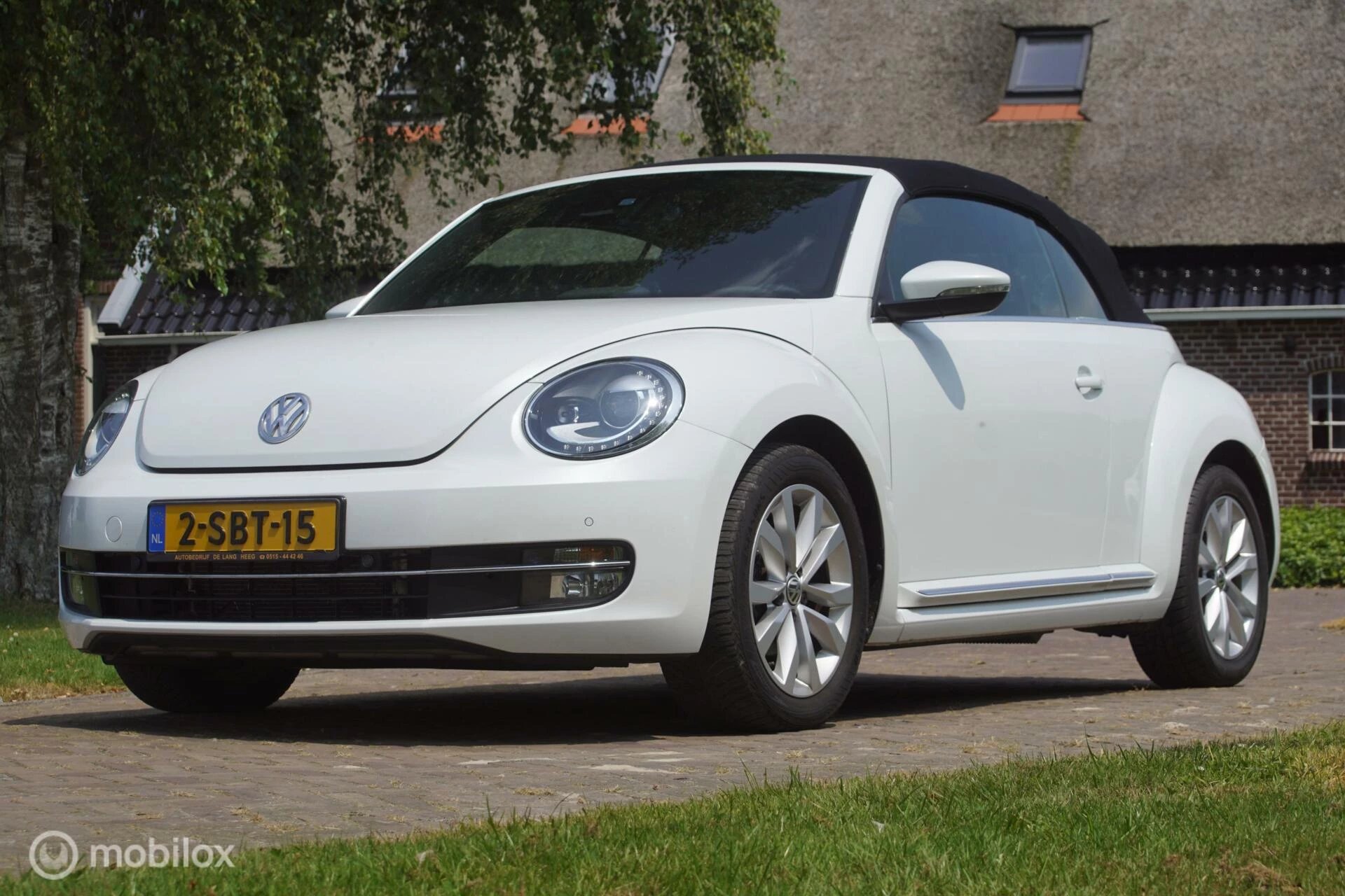 Hoofdafbeelding Volkswagen Beetle