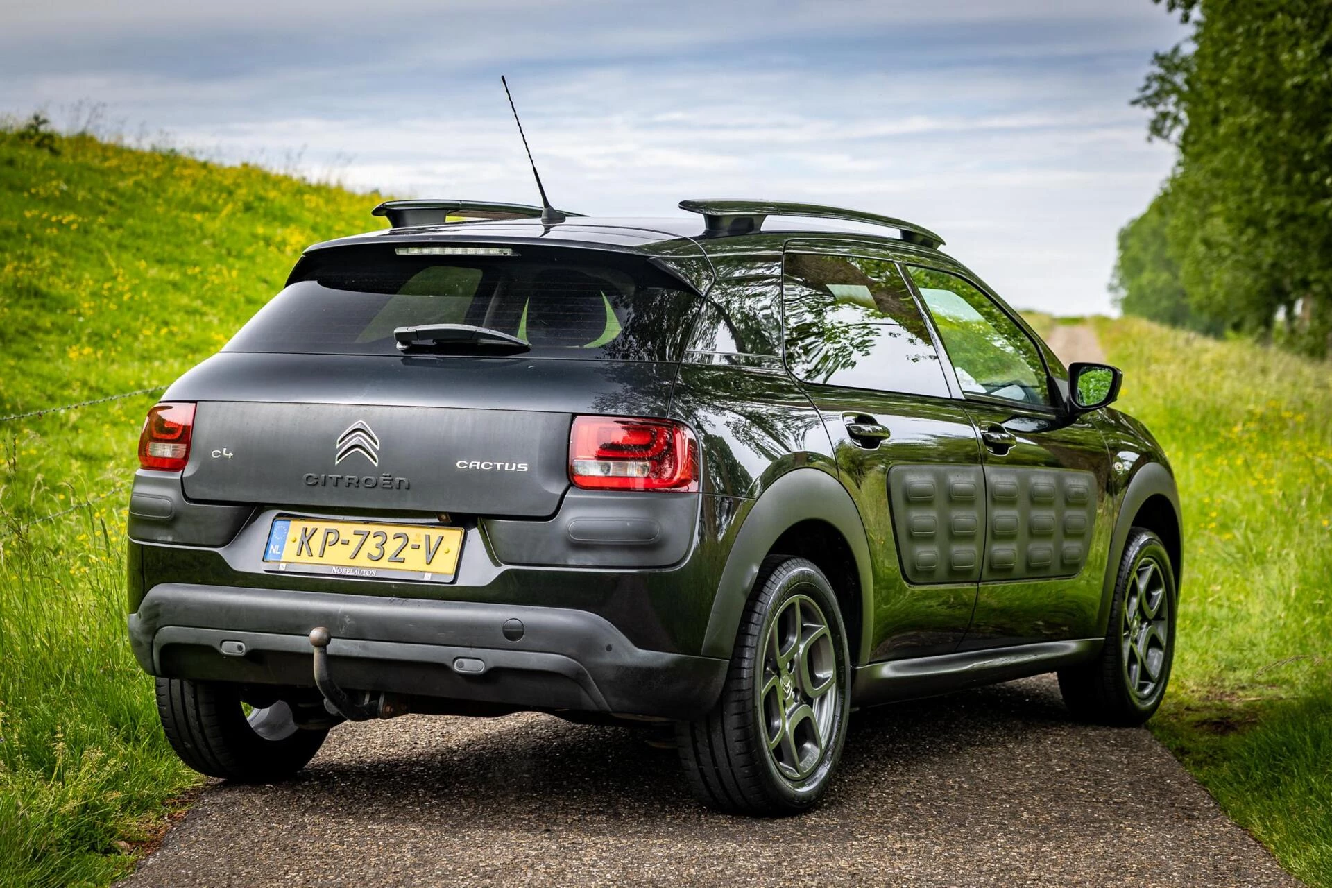 Hoofdafbeelding Citroën C4 Cactus