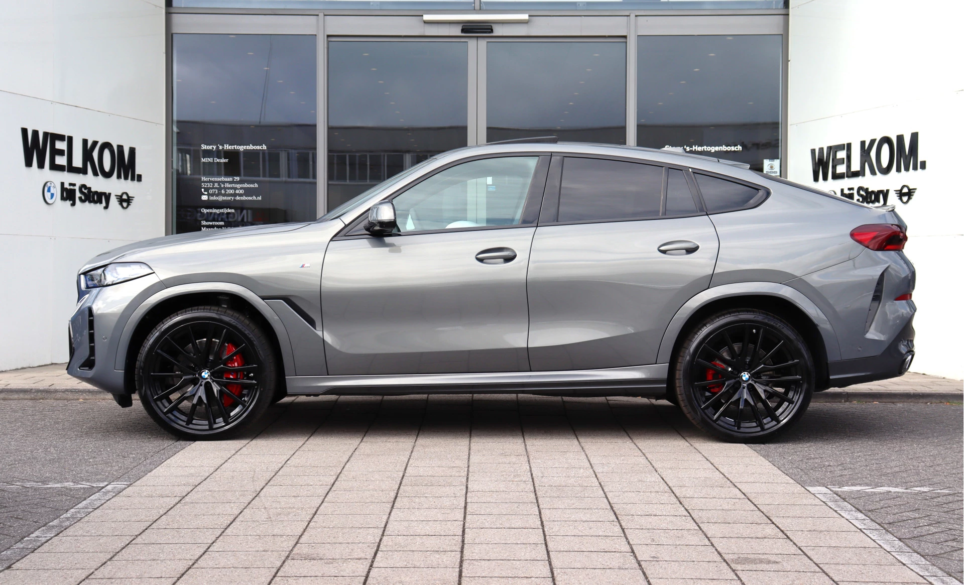 Hoofdafbeelding BMW X6