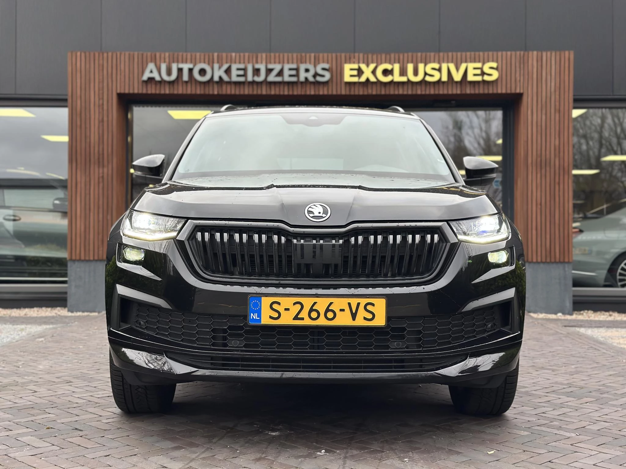 Hoofdafbeelding Škoda Kodiaq