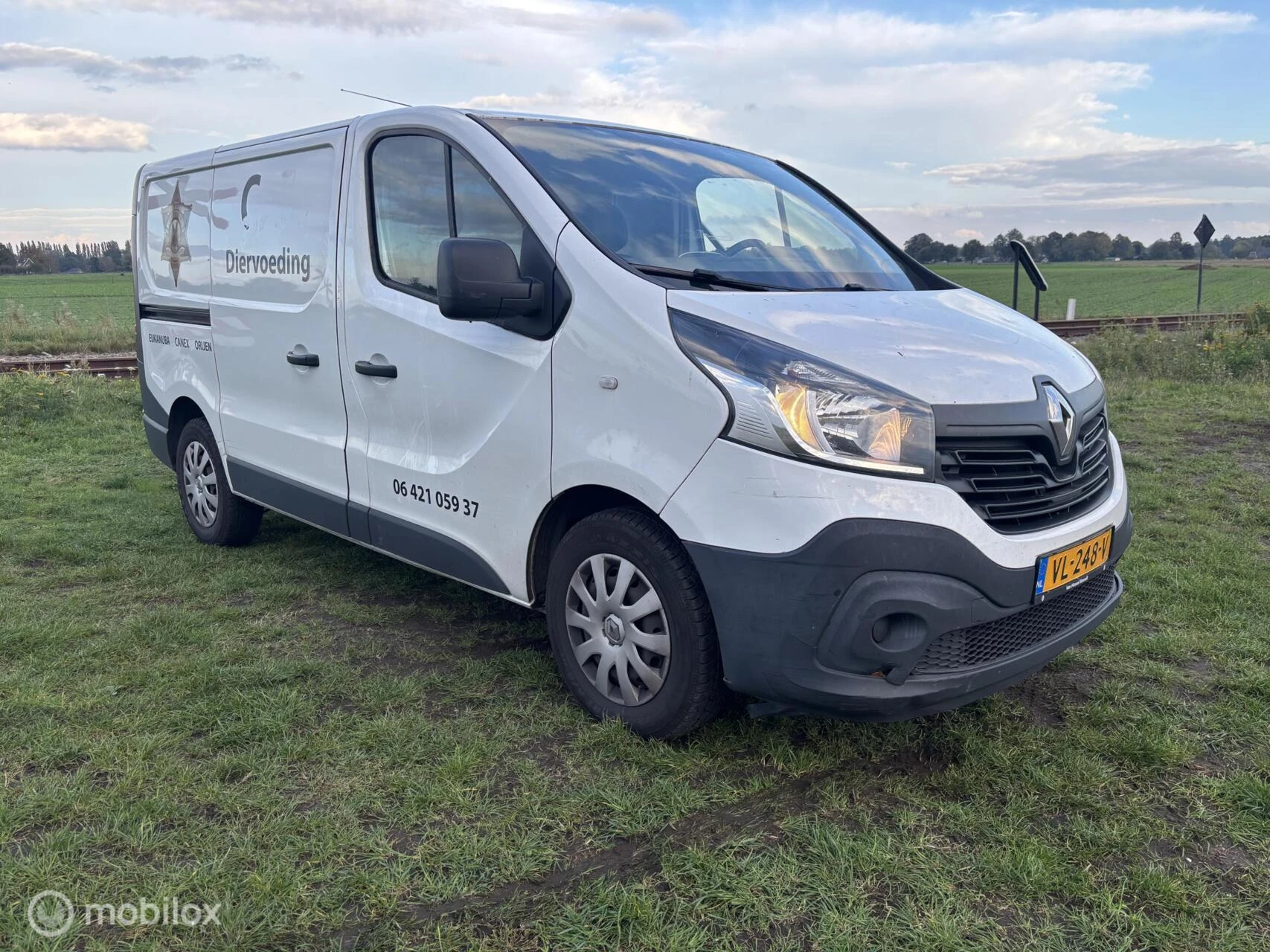Hoofdafbeelding Renault Trafic