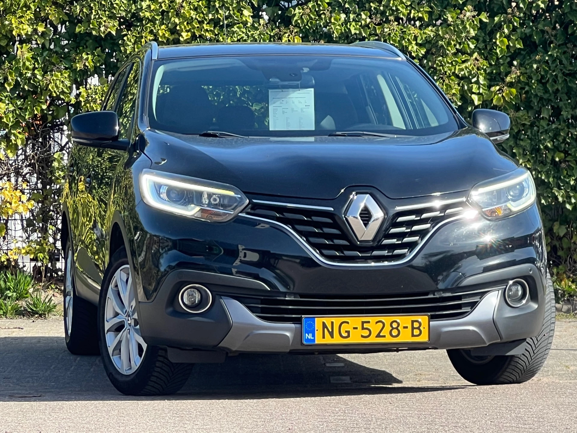 Hoofdafbeelding Renault Kadjar
