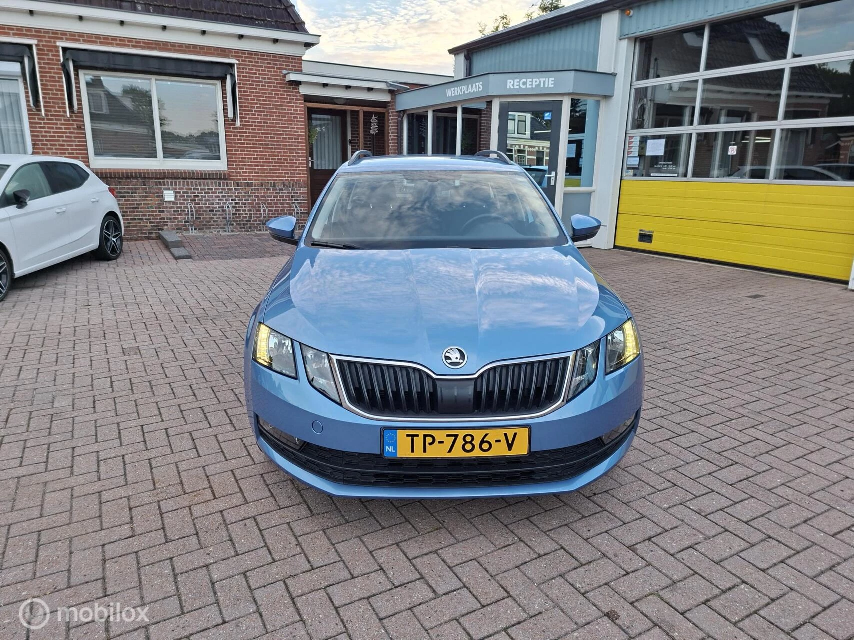 Hoofdafbeelding Škoda Octavia