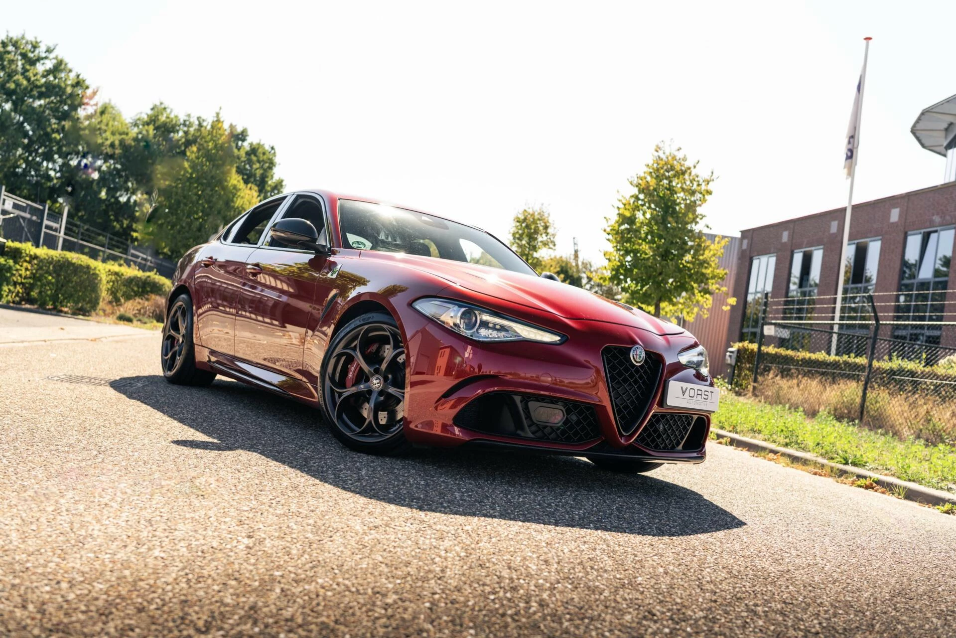 Hoofdafbeelding Alfa Romeo Giulia