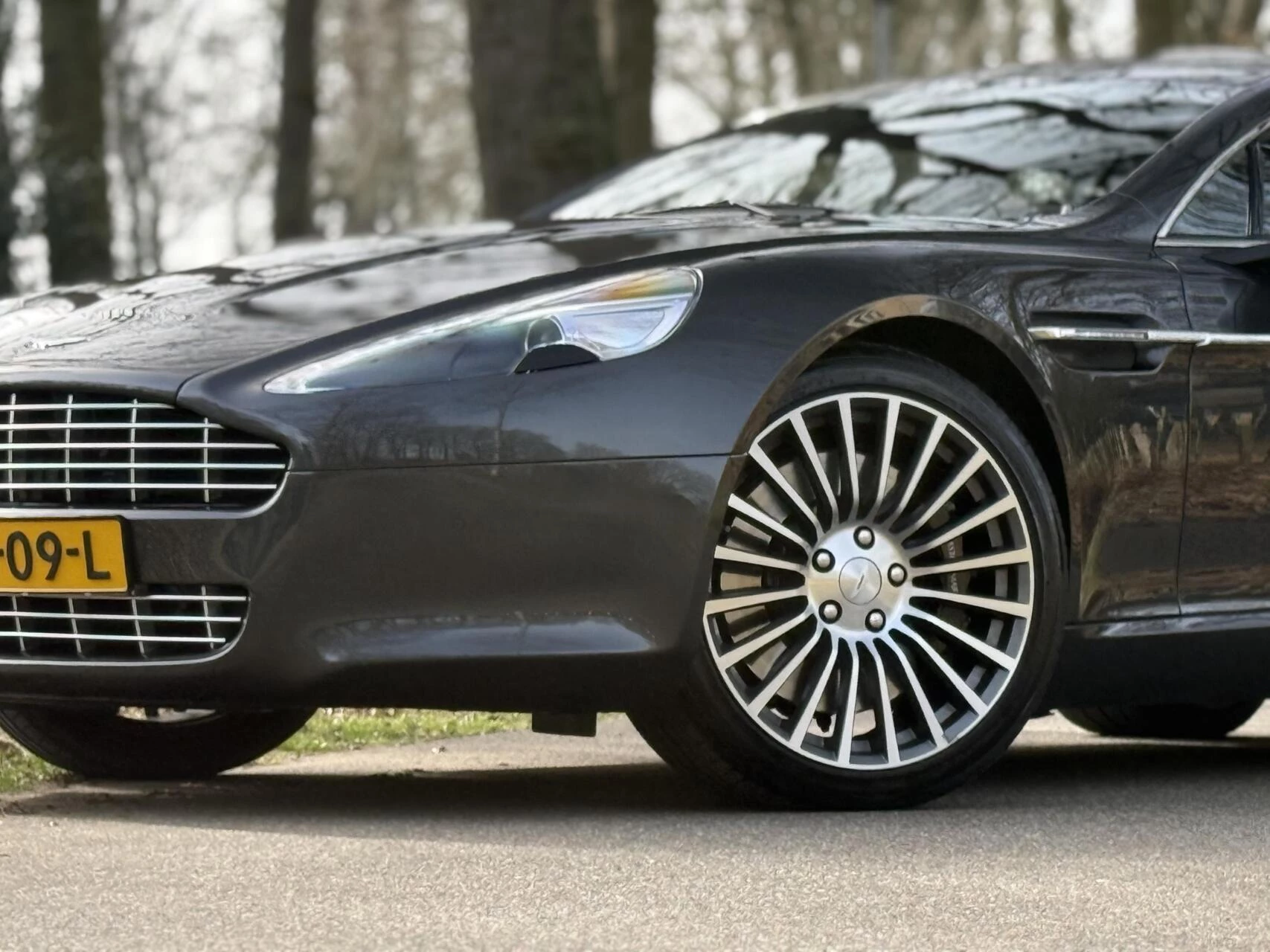 Hoofdafbeelding Aston Martin Rapide