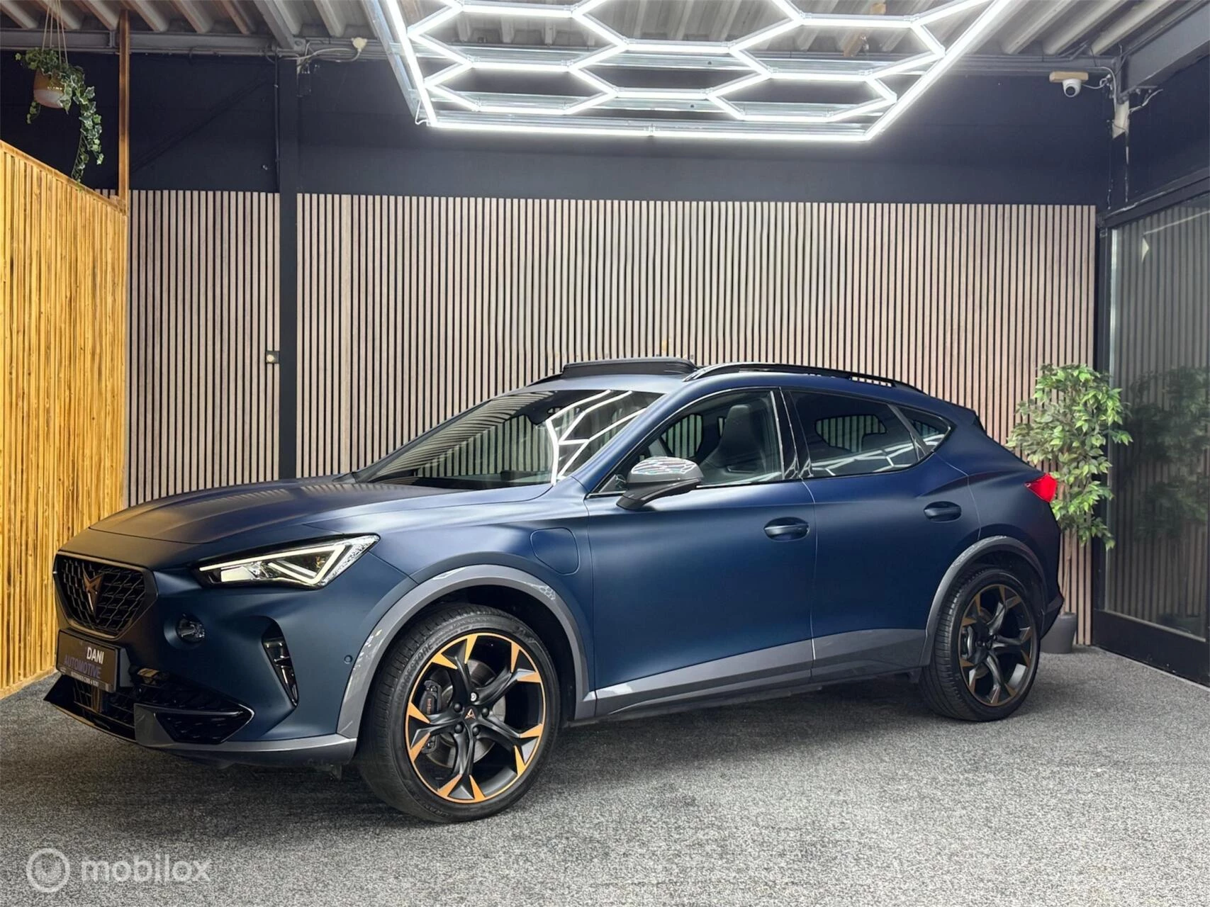 Hoofdafbeelding CUPRA Formentor