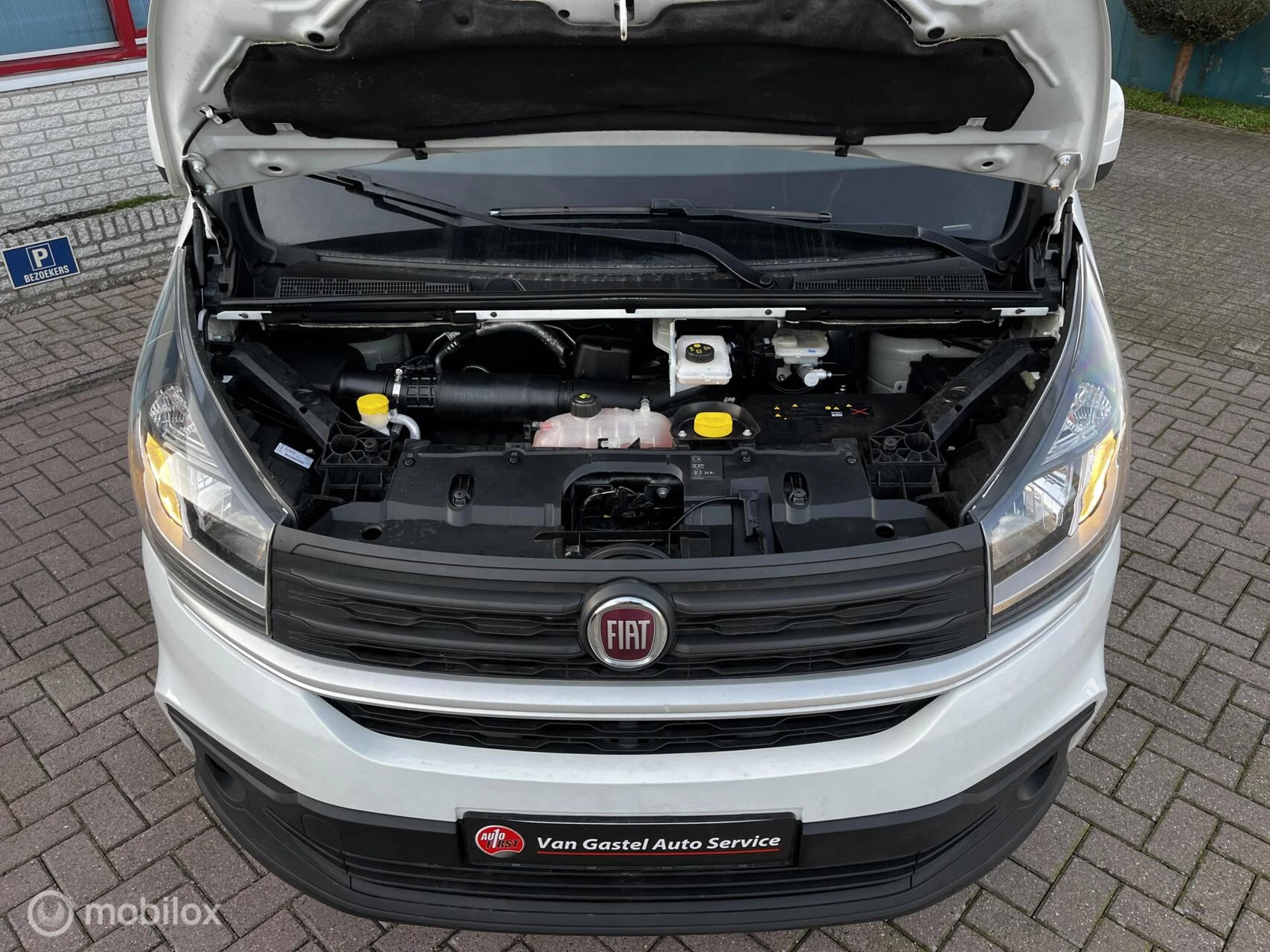 Hoofdafbeelding Fiat Talento