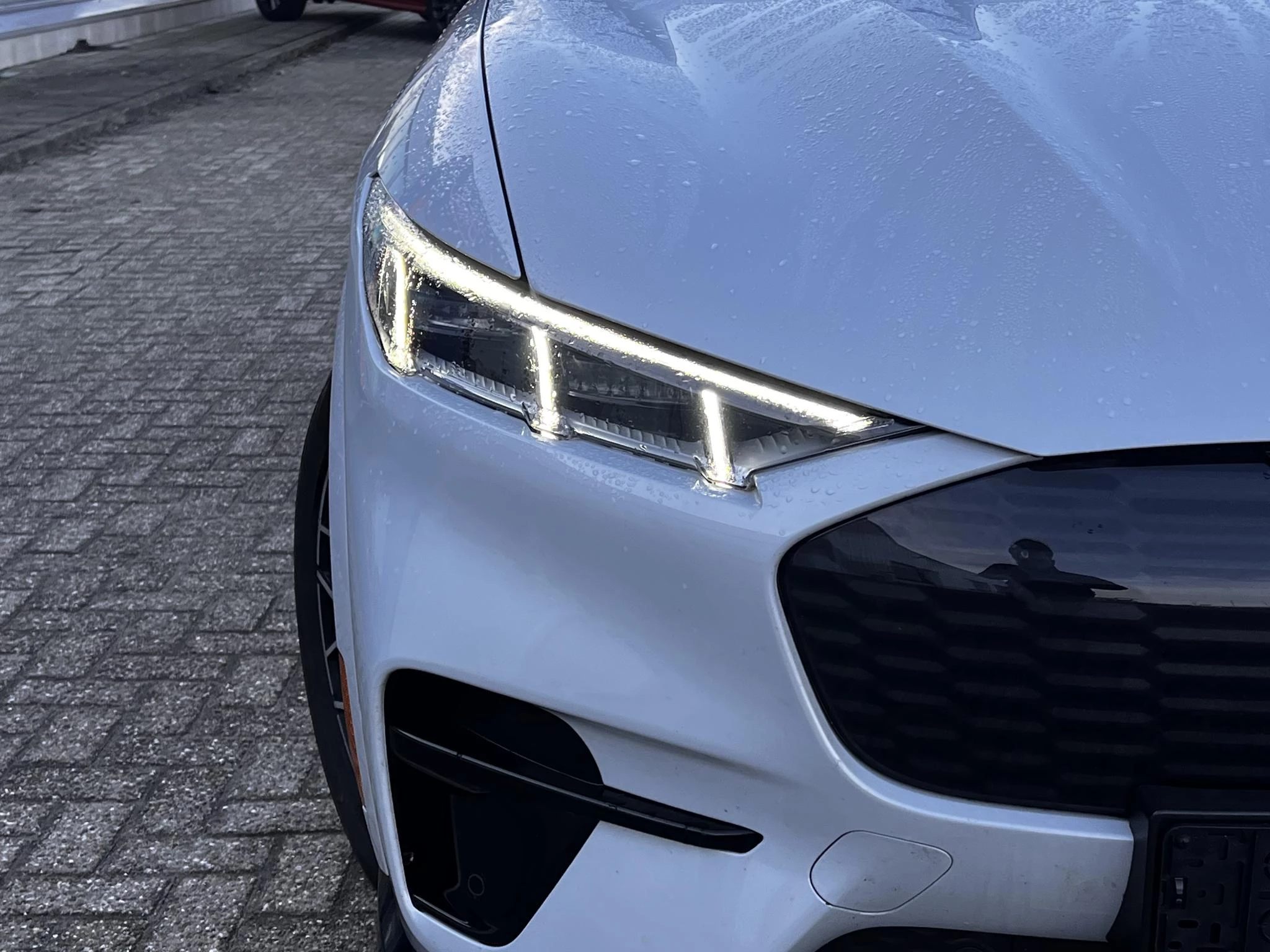 Hoofdafbeelding Ford Mustang Mach-E