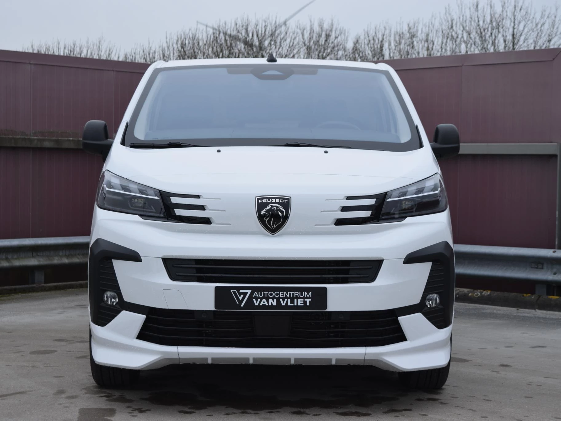 Hoofdafbeelding Peugeot e-Expert