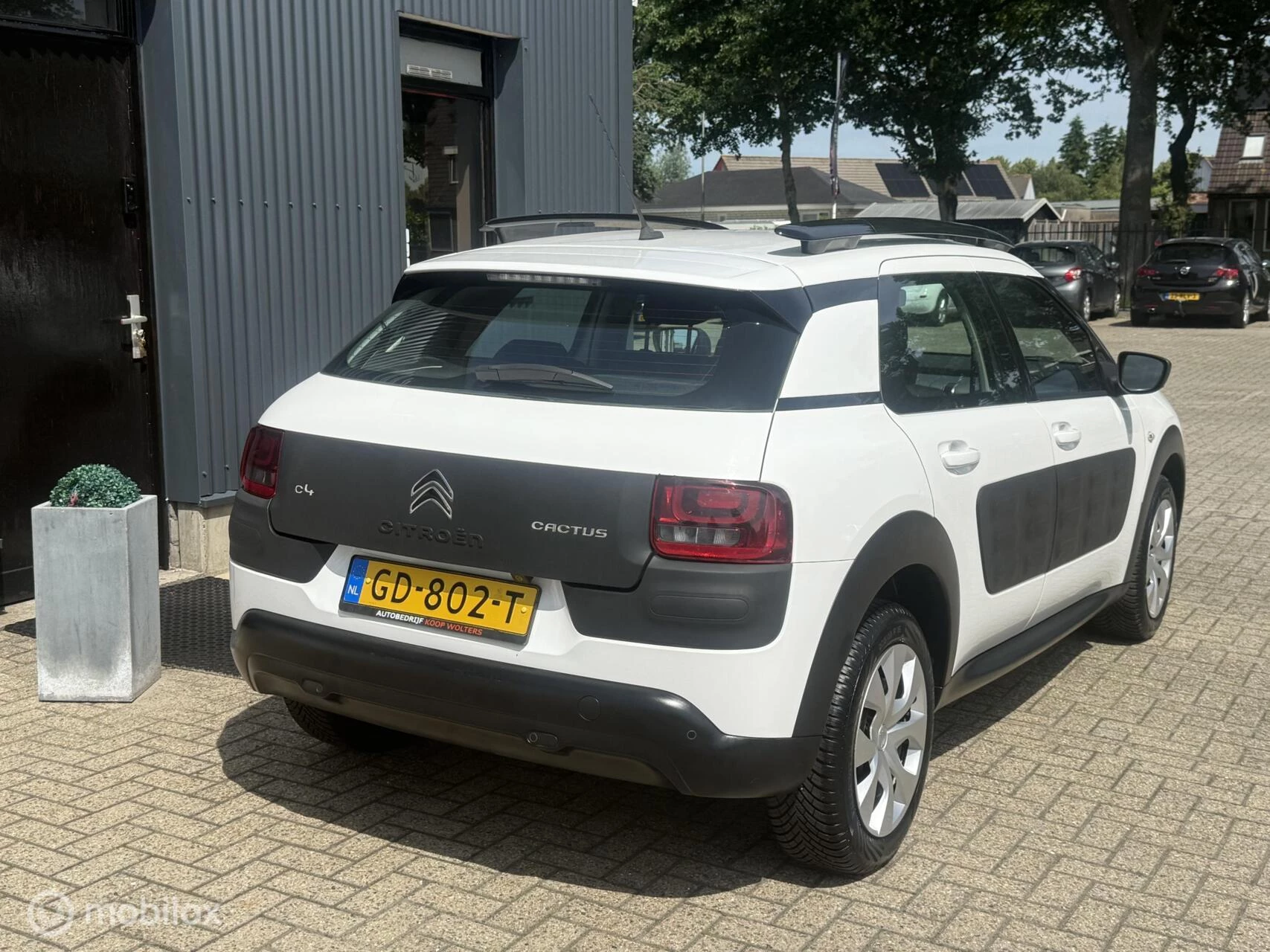 Hoofdafbeelding Citroën C4 Cactus