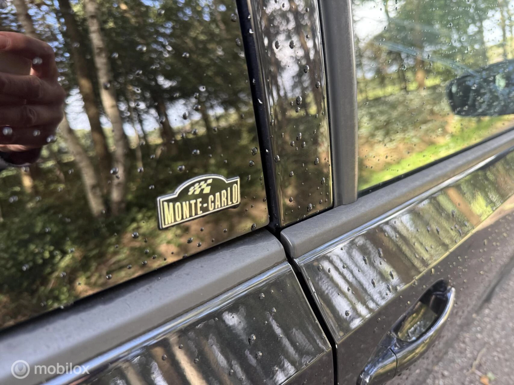 Hoofdafbeelding Škoda Citigo