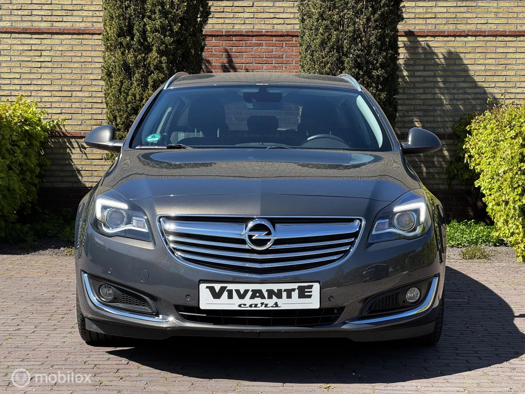 Hoofdafbeelding Opel Insignia