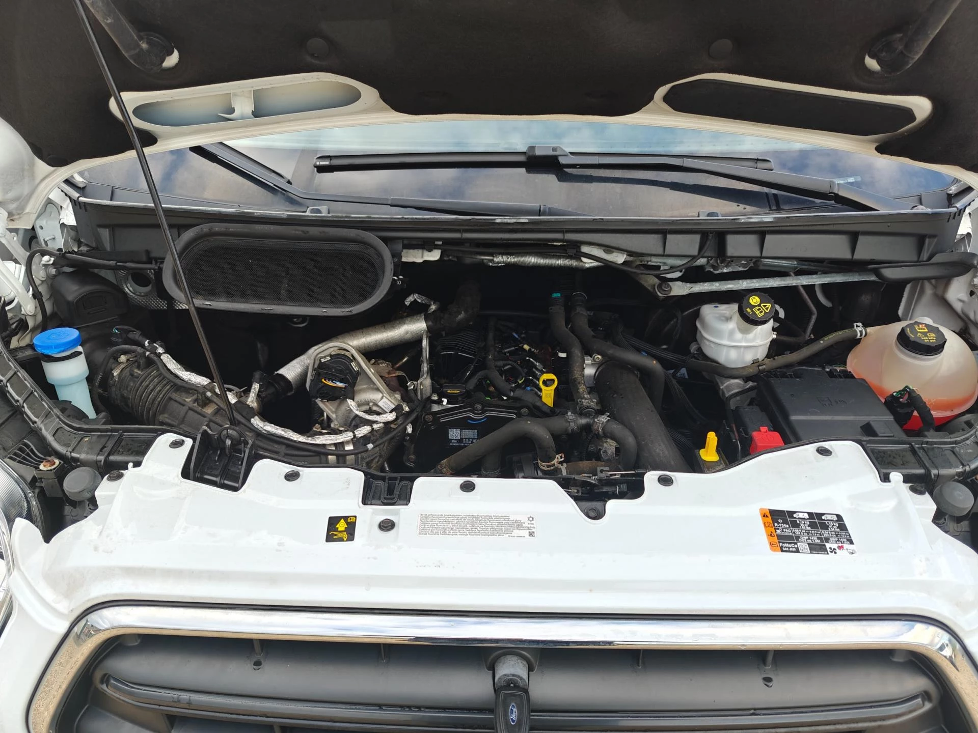 Hoofdafbeelding Ford Transit