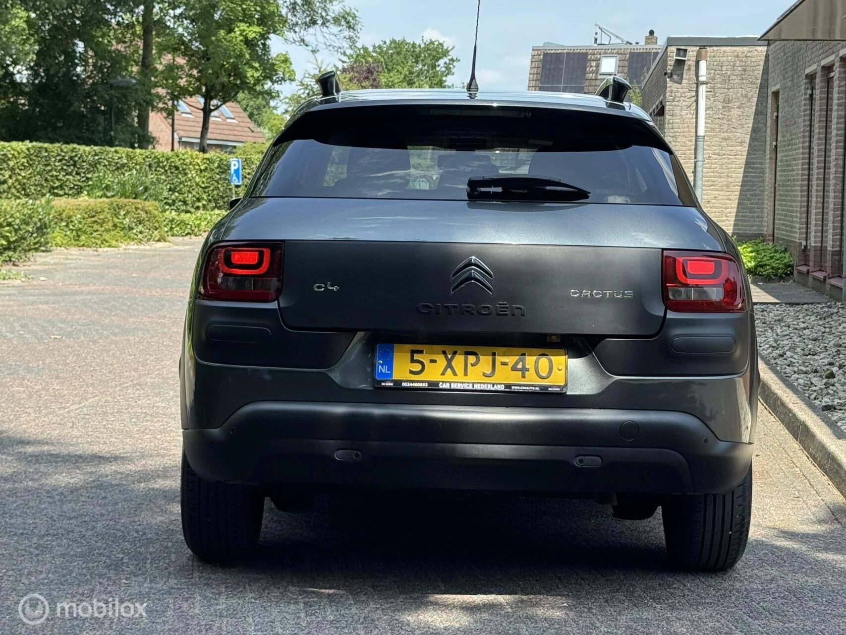 Hoofdafbeelding Citroën C4 Cactus