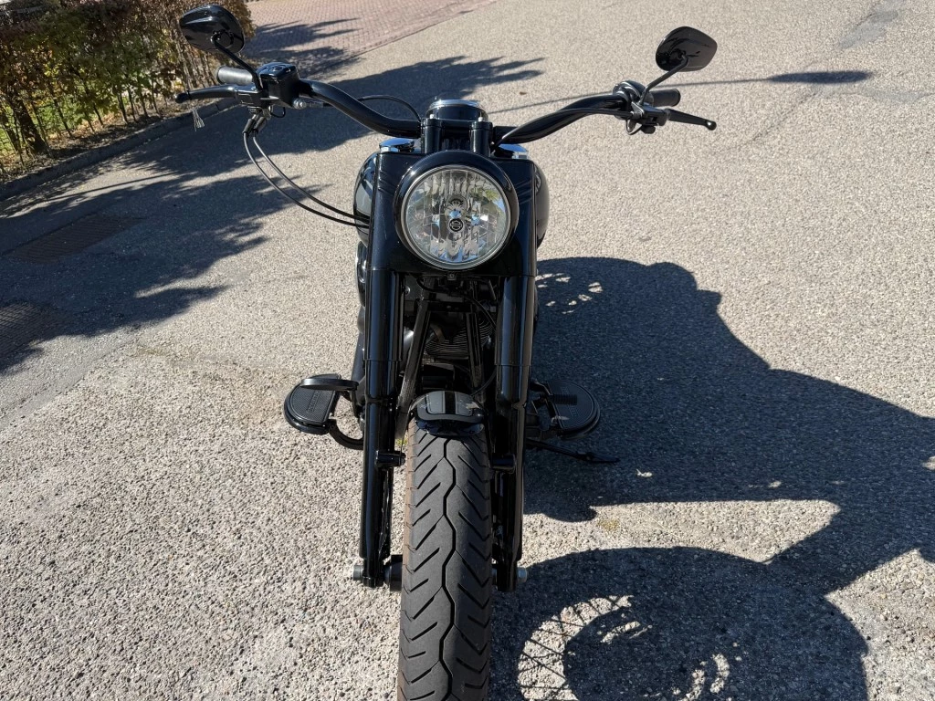 Hoofdafbeelding Harley-Davidson Softail