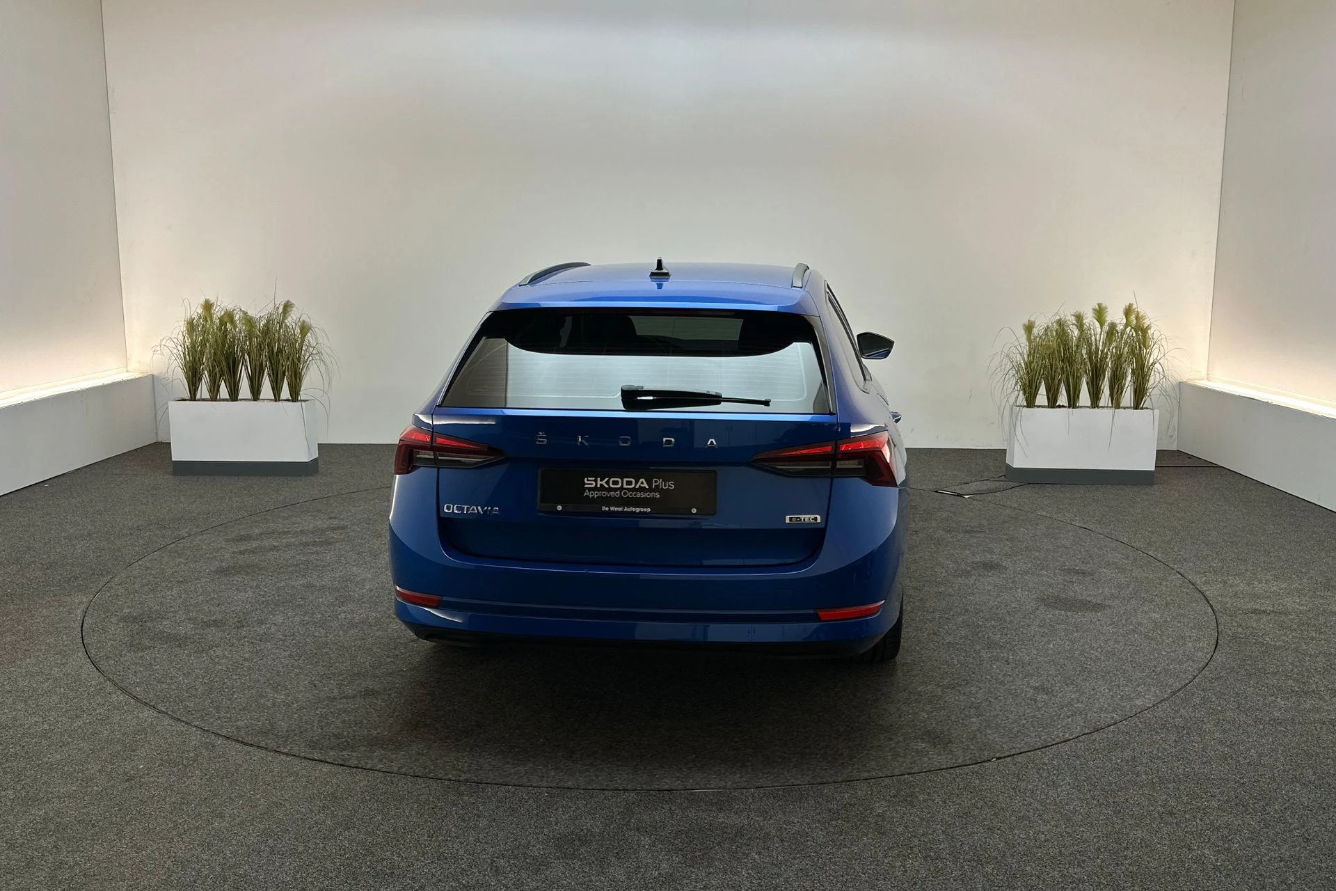 Hoofdafbeelding Škoda Octavia