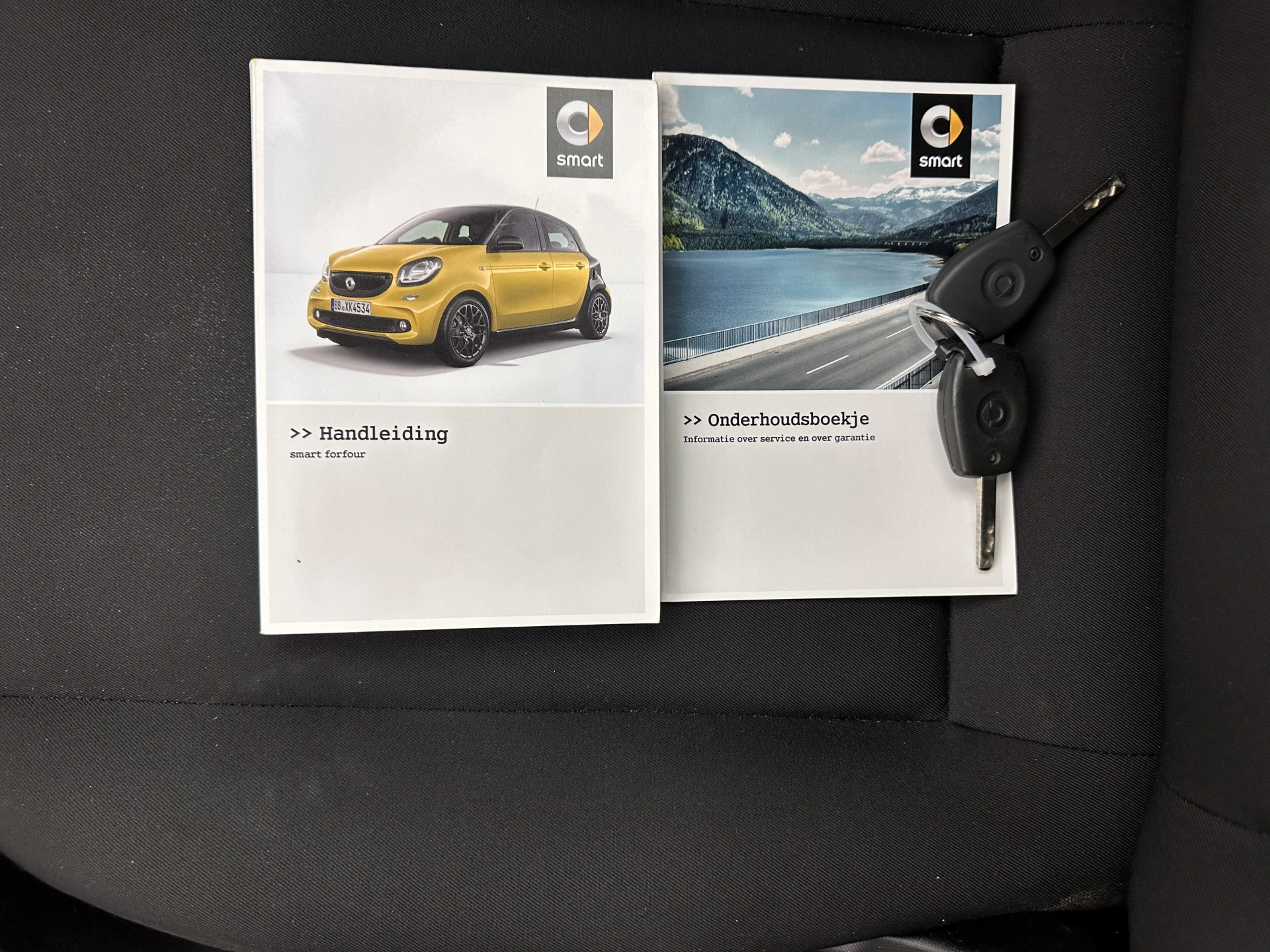Hoofdafbeelding Smart Forfour