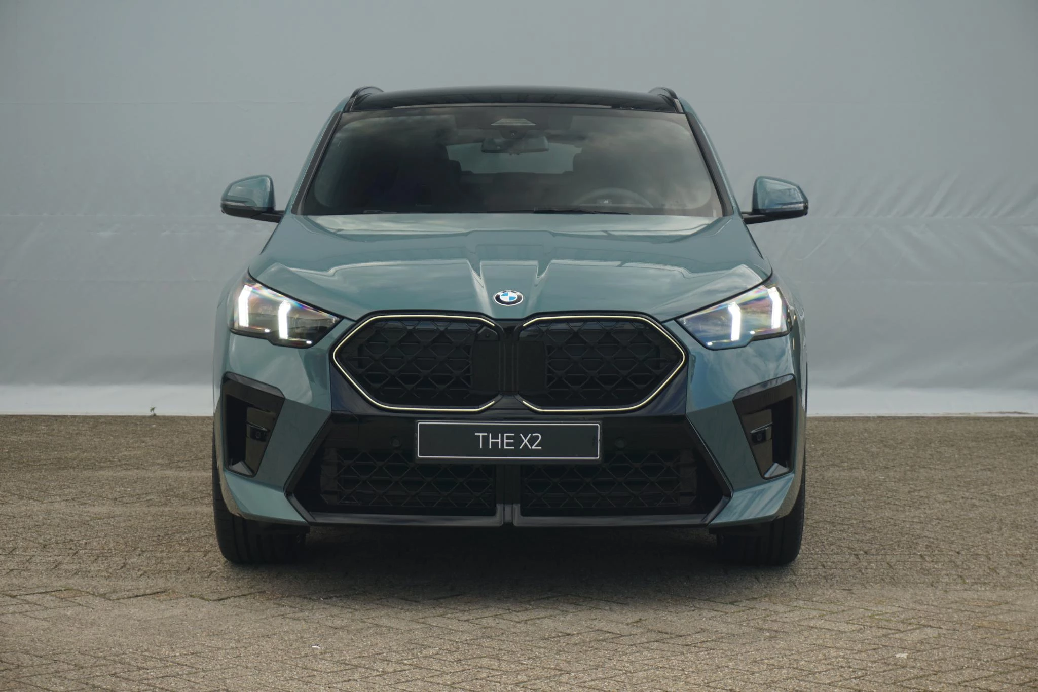 Hoofdafbeelding BMW X2