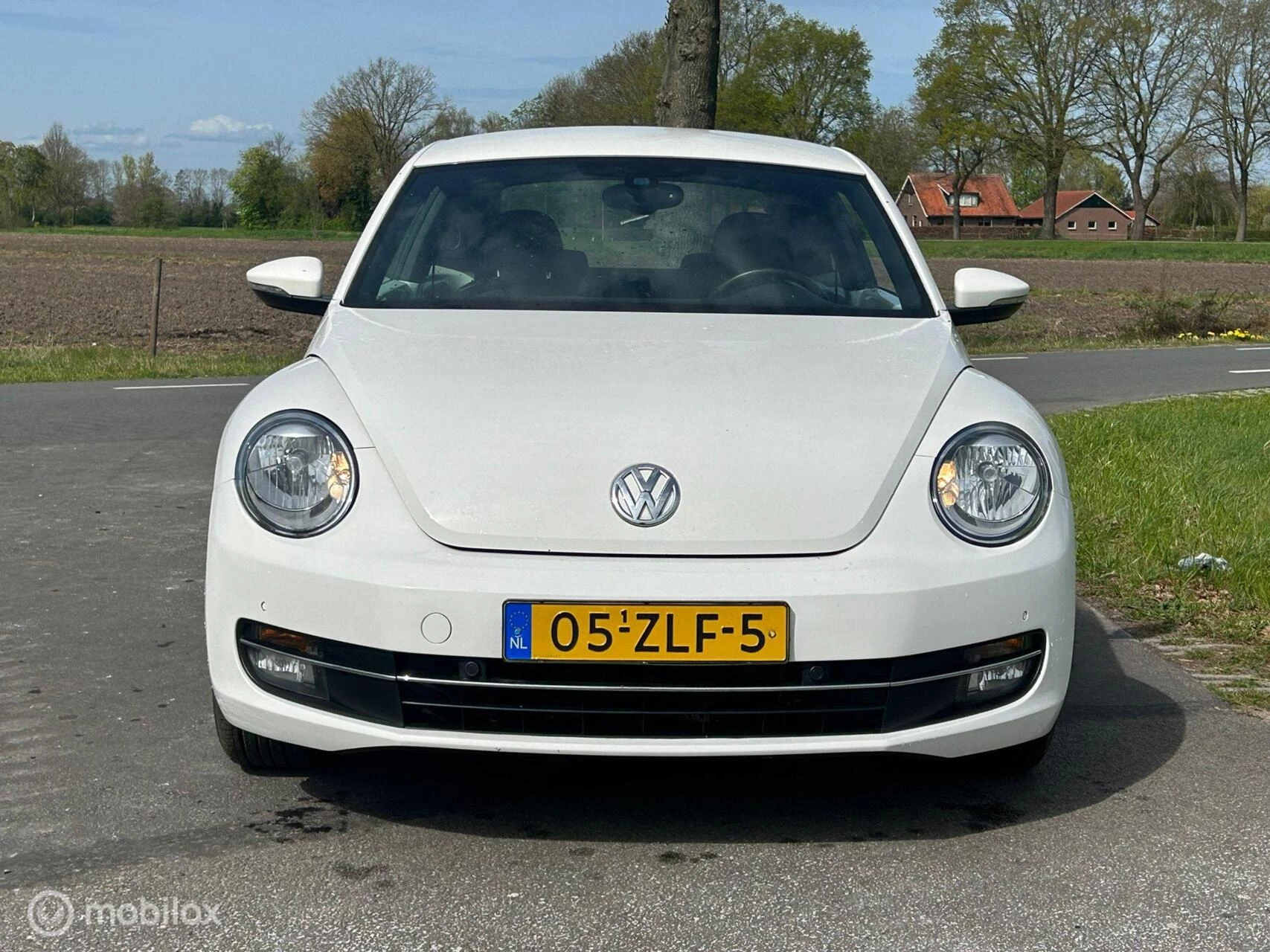 Hoofdafbeelding Volkswagen Beetle