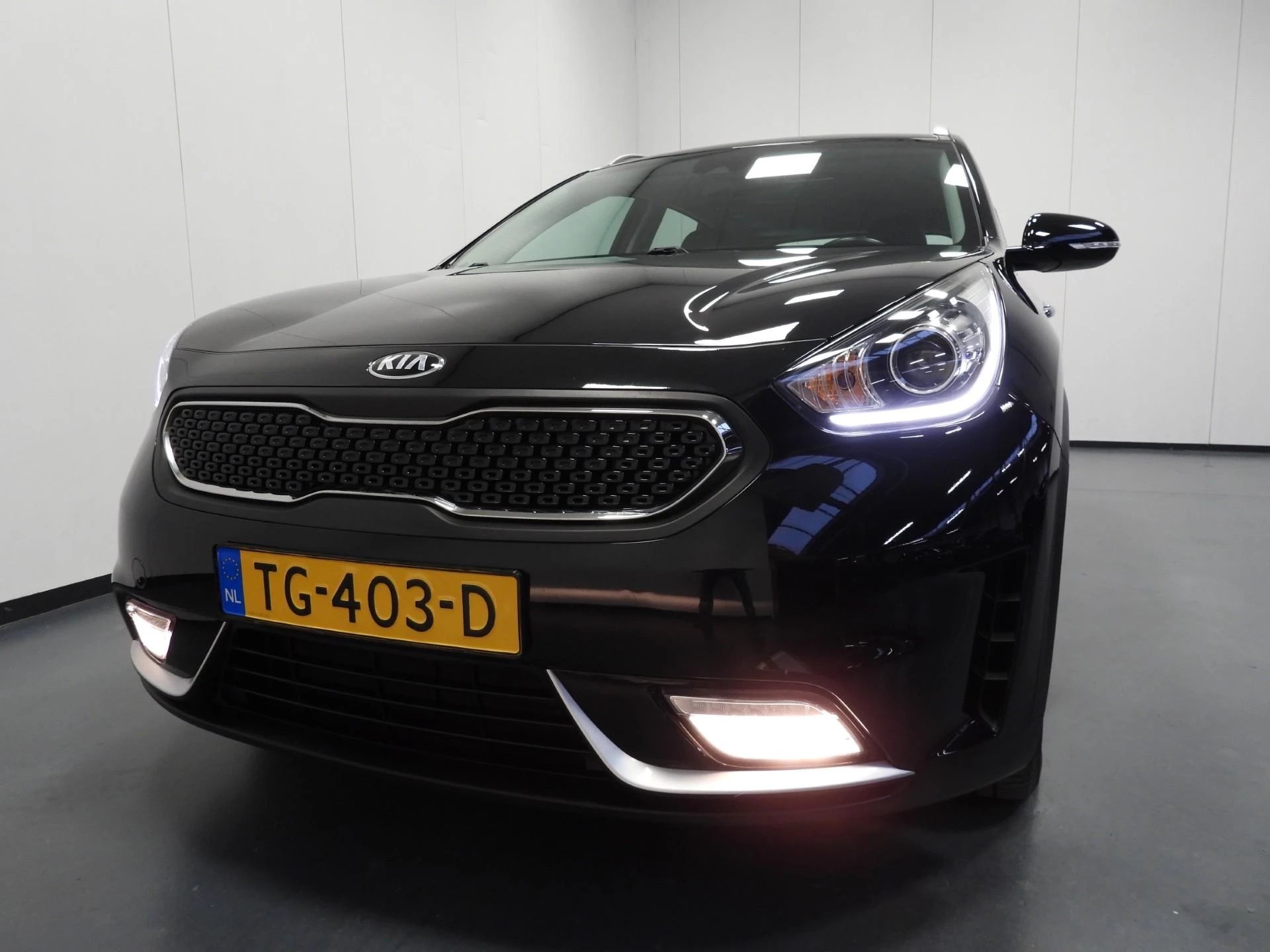 Hoofdafbeelding Kia Niro