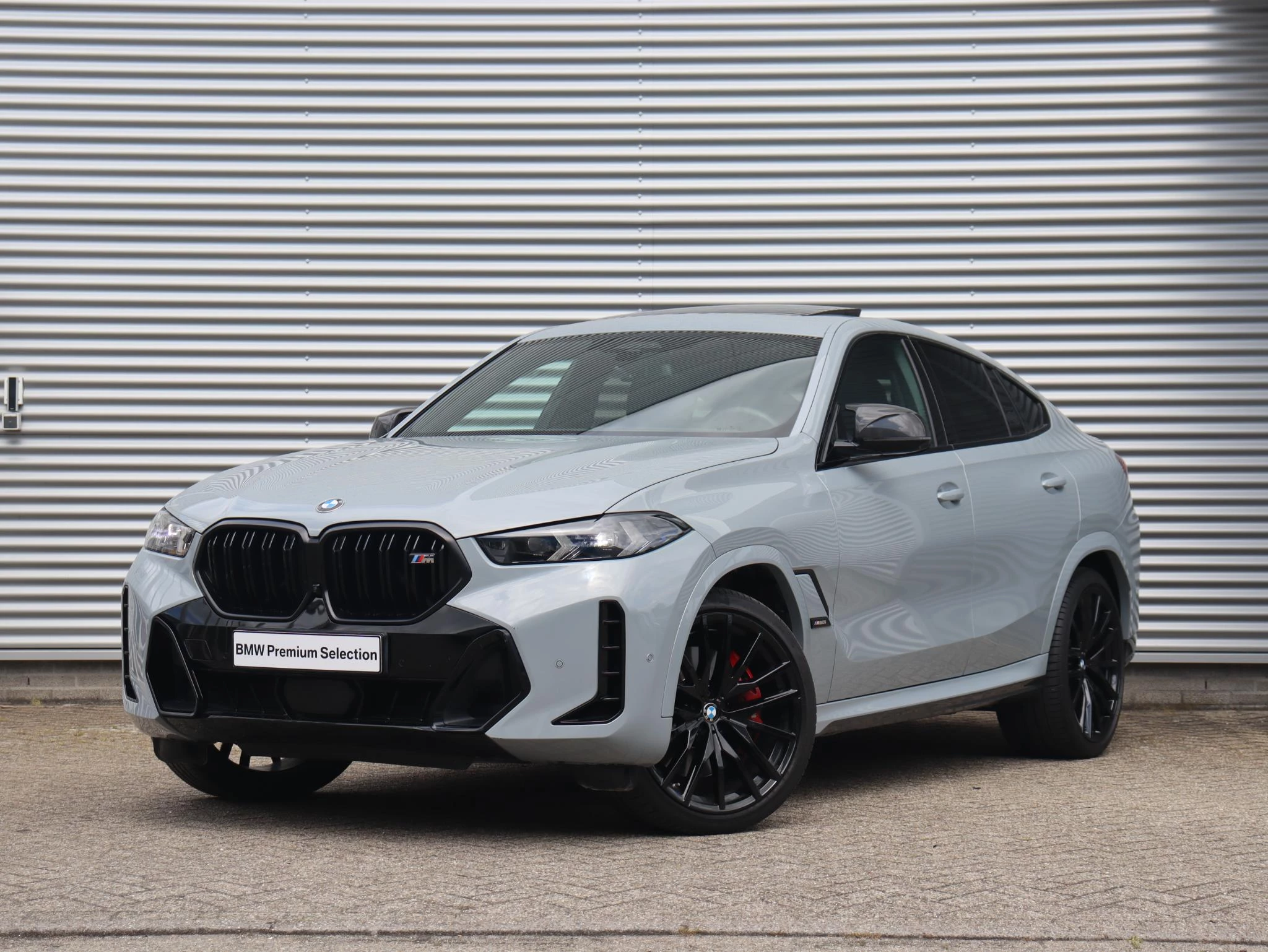 Hoofdafbeelding BMW X6