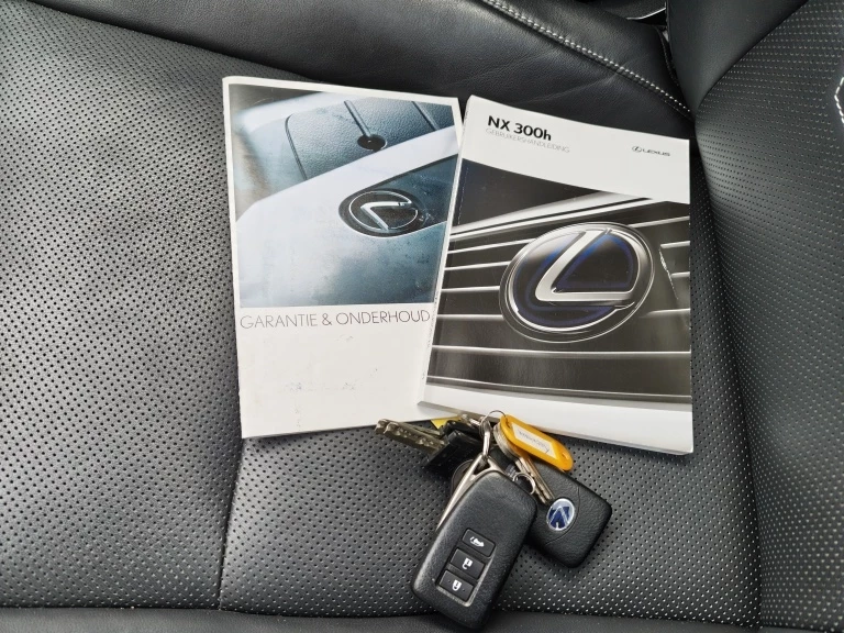Hoofdafbeelding Lexus NX