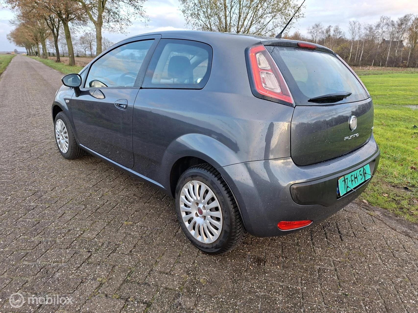 Hoofdafbeelding Fiat Punto