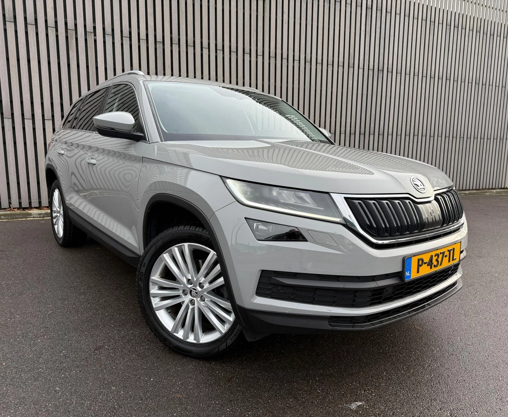 Hoofdafbeelding Škoda Kodiaq