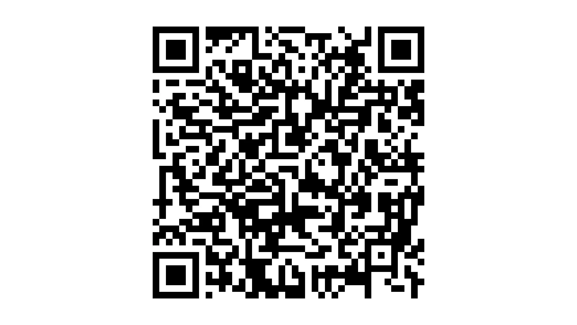 Hoofdafbeelding Fiat Punto