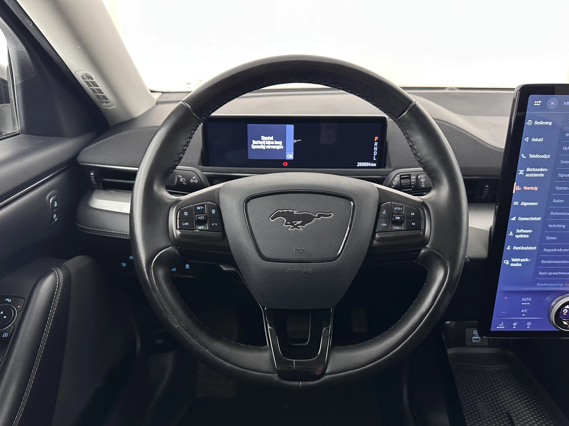 Hoofdafbeelding Ford Mustang Mach-E