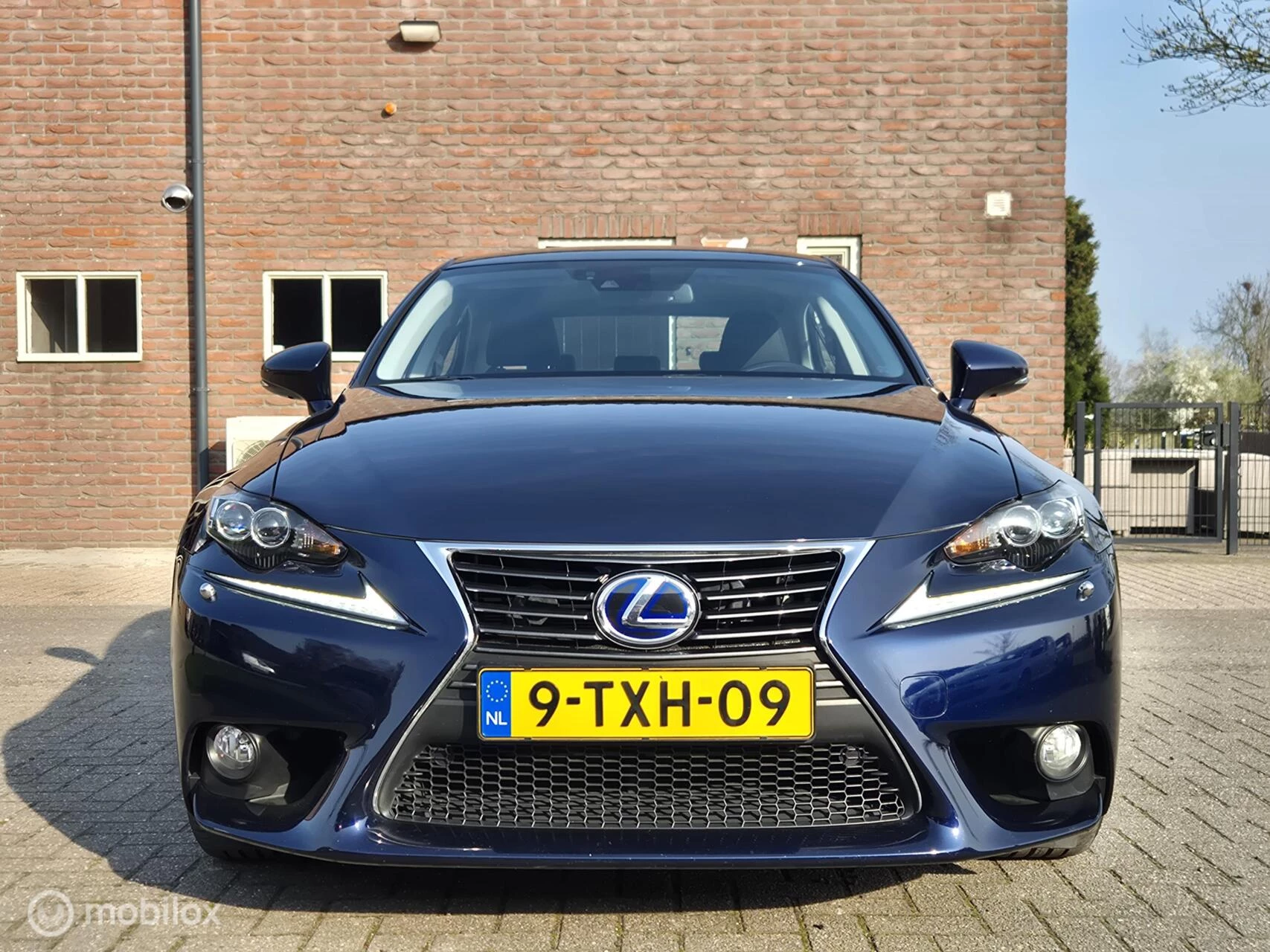 Hoofdafbeelding Lexus IS