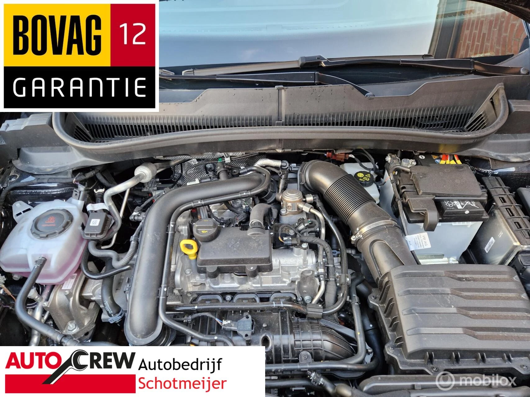 Hoofdafbeelding Volkswagen T-Cross