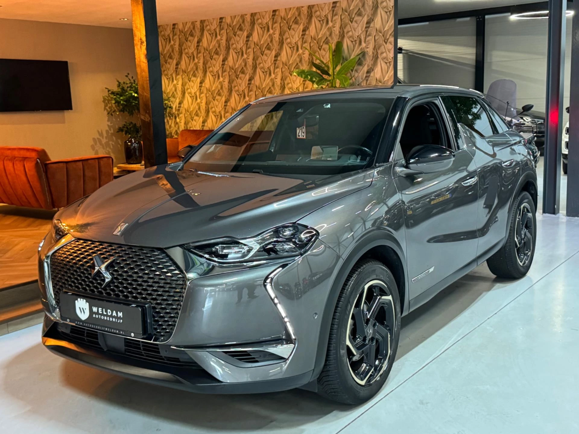Hoofdafbeelding DS DS 3