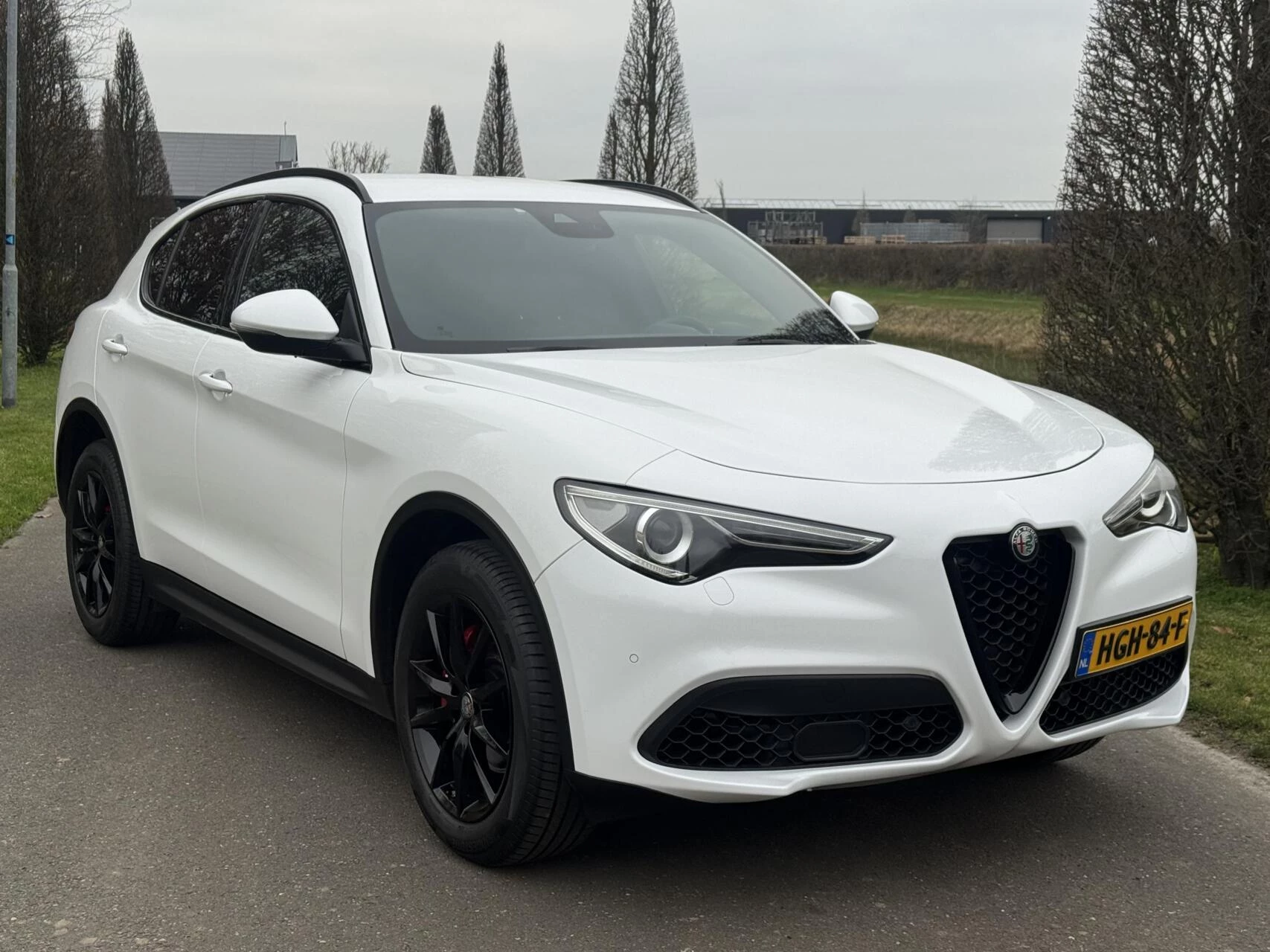Hoofdafbeelding Alfa Romeo Stelvio
