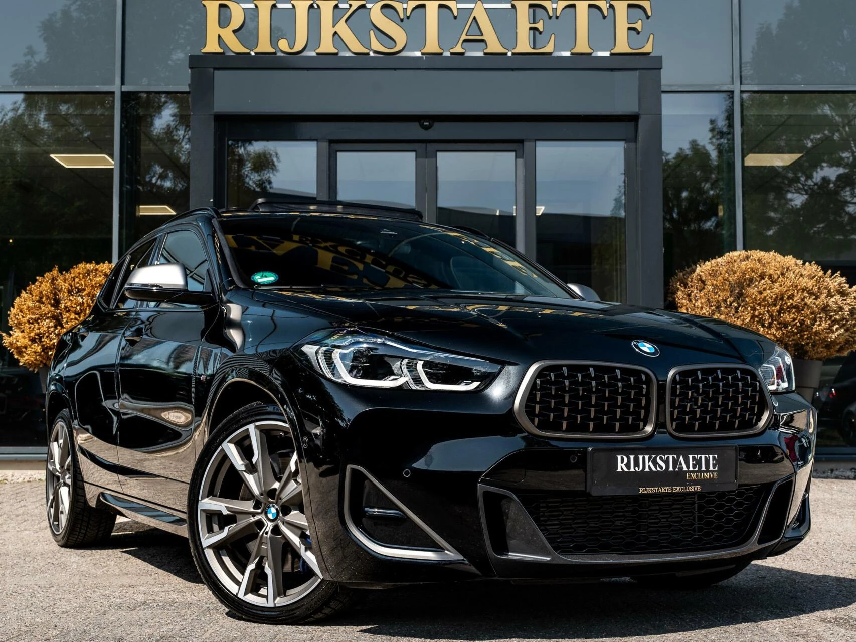 Hoofdafbeelding BMW X2