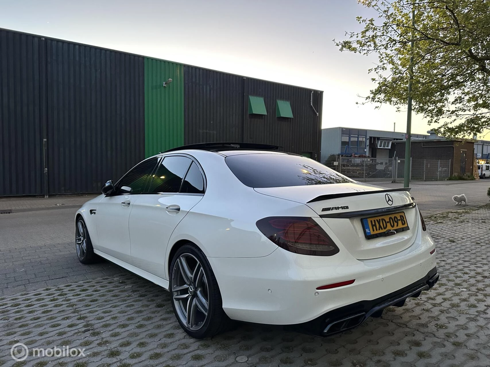 Hoofdafbeelding Mercedes-Benz E-Klasse