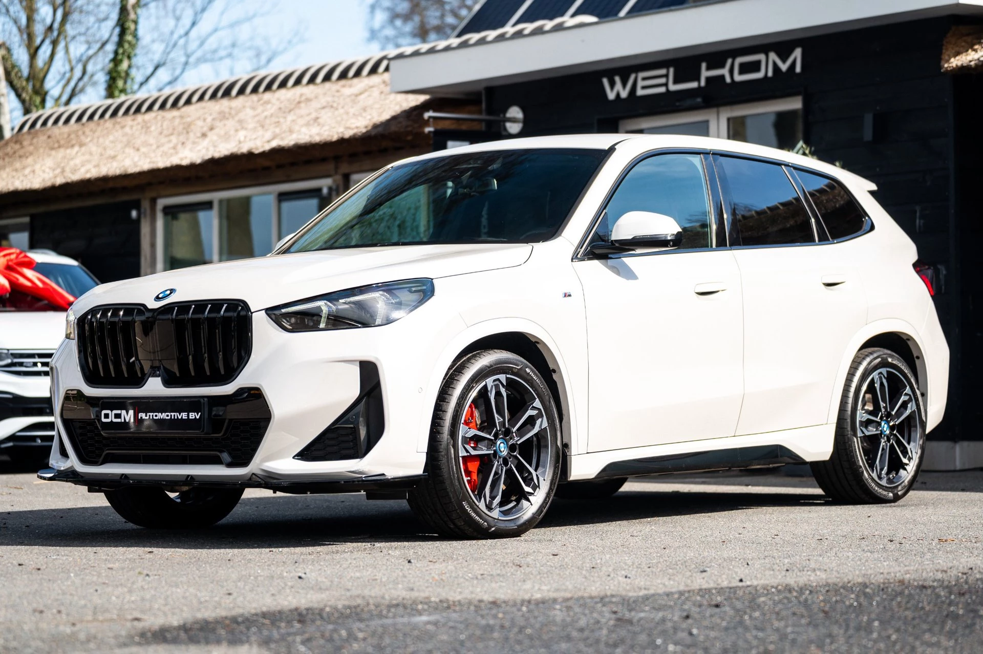 Hoofdafbeelding BMW iX1