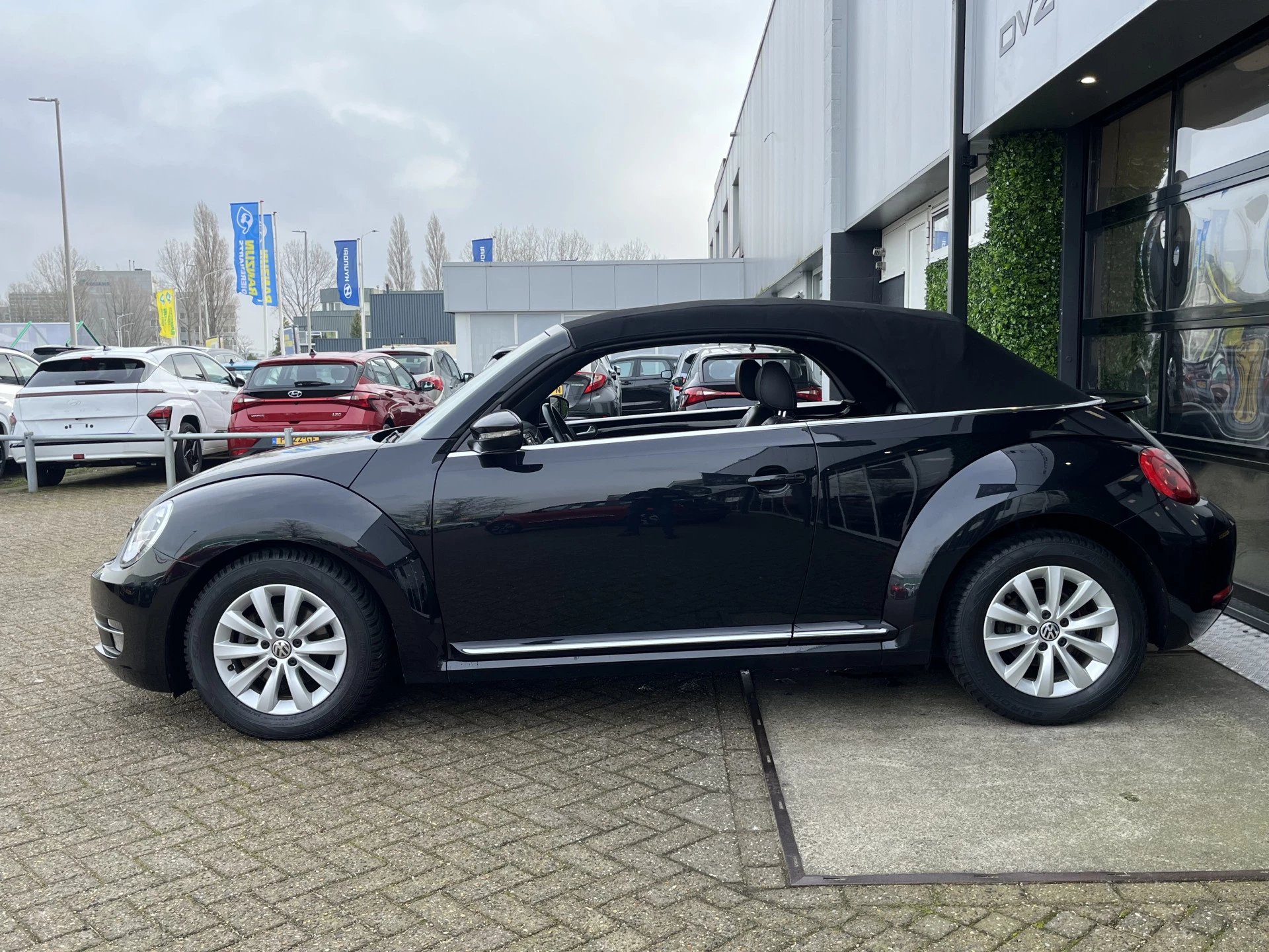 Hoofdafbeelding Volkswagen Beetle