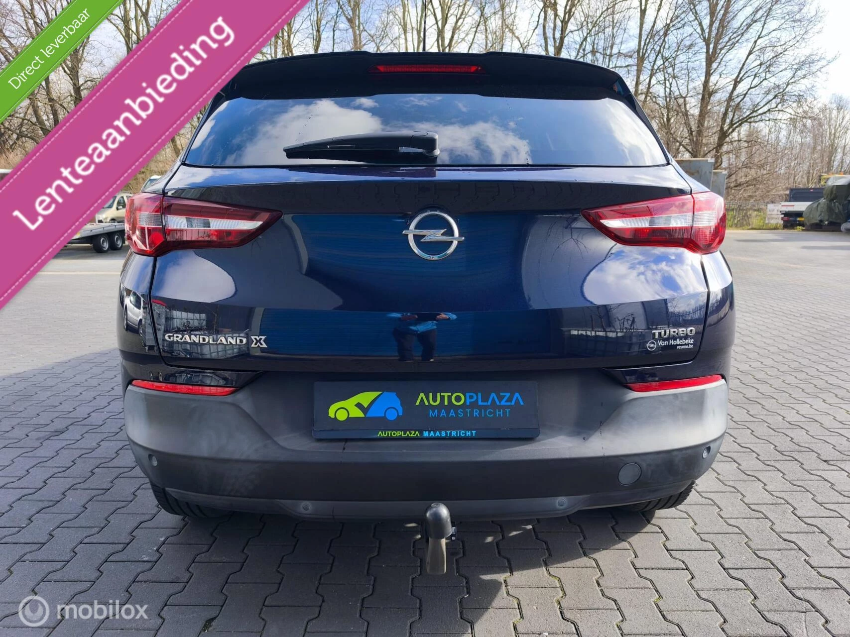 Hoofdafbeelding Opel Grandland X