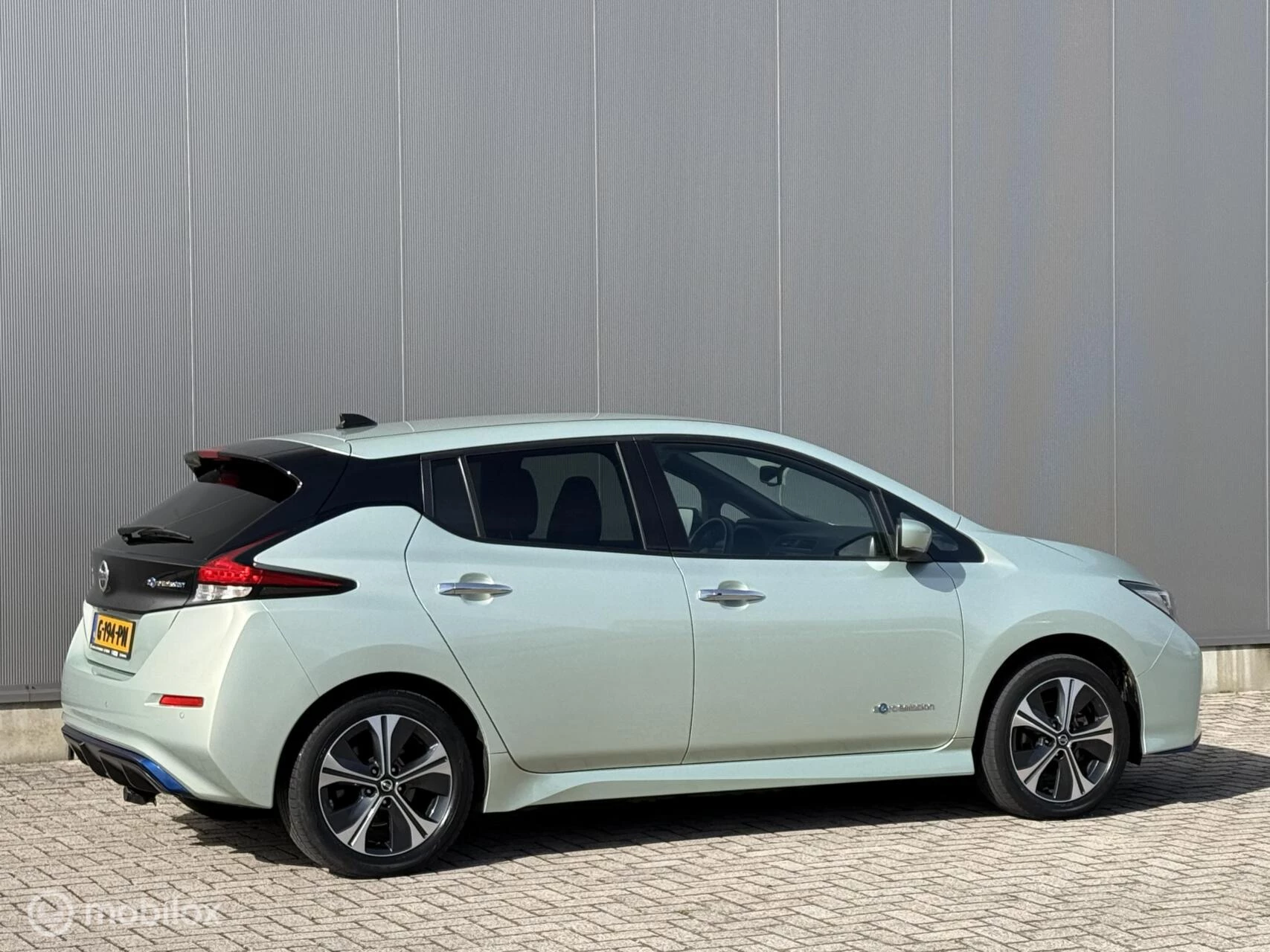 Hoofdafbeelding Nissan Leaf