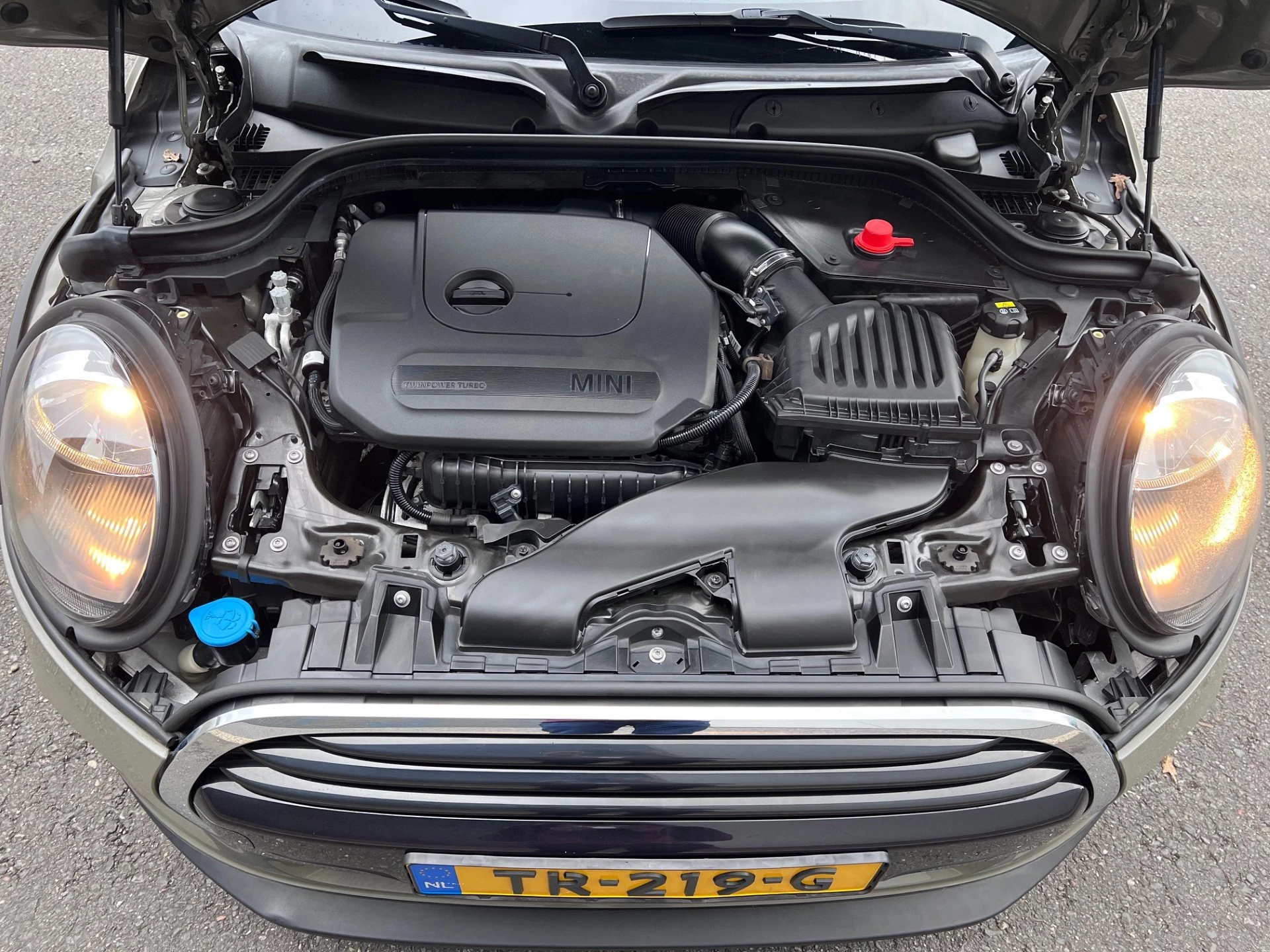 Hoofdafbeelding MINI Cooper