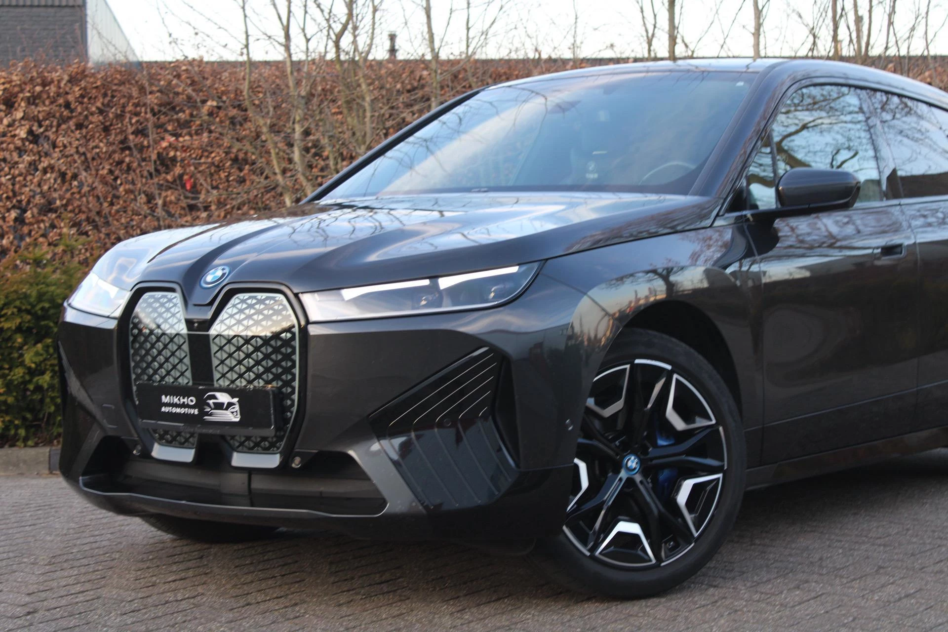 Hoofdafbeelding BMW iX