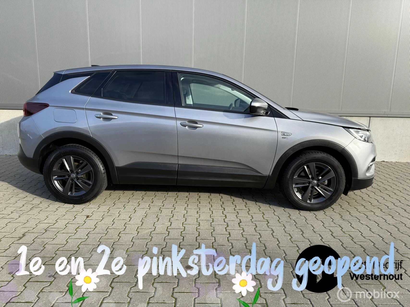 Hoofdafbeelding Opel Grandland X