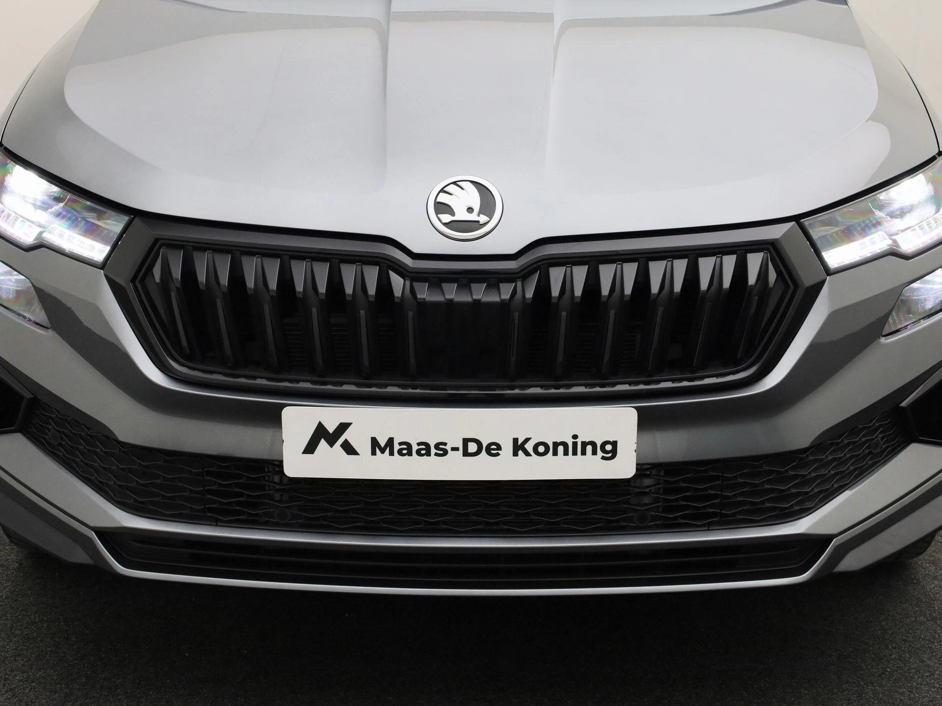 Hoofdafbeelding Škoda Karoq